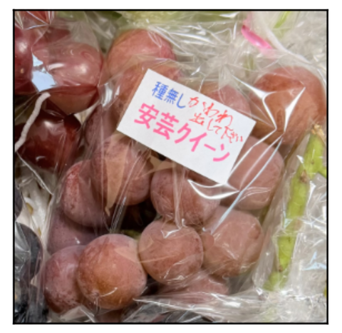 ADF261006A08