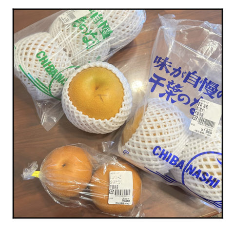 A230919B01