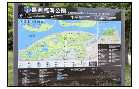 F260596A09