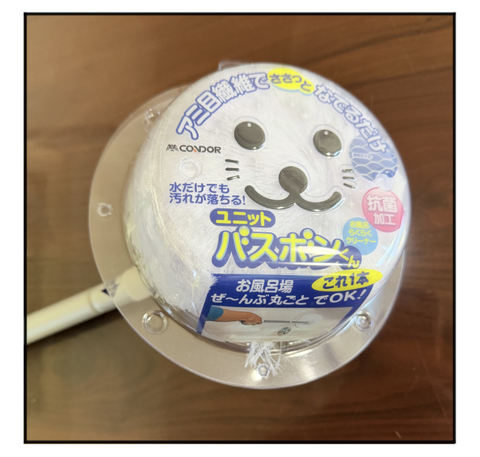 A260310A01