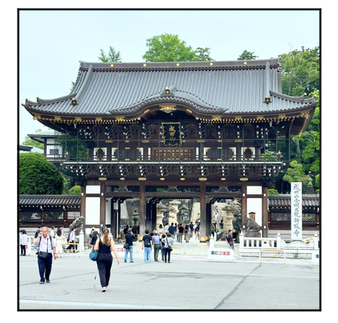 A240715A02