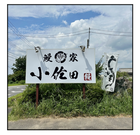 A250816A01