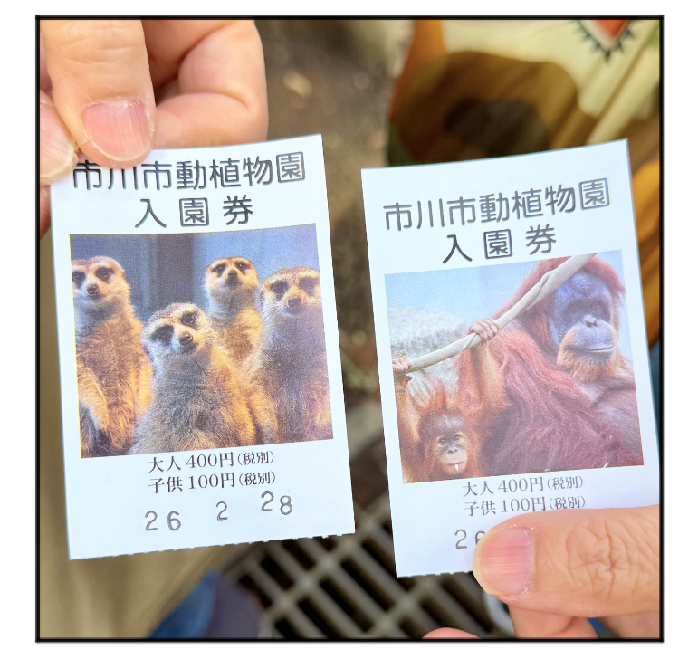 パンチくんに会いに①【アラカン女子】市川市動植物園で癒しの時間