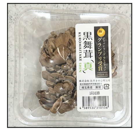 A241206A VV