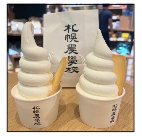 A240816A01のコピー