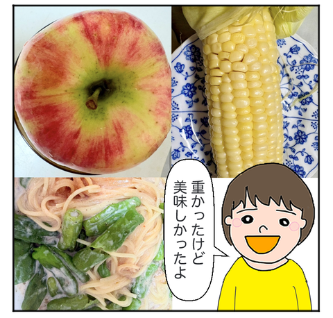 ADF261010APP