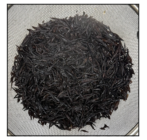 A240305D01