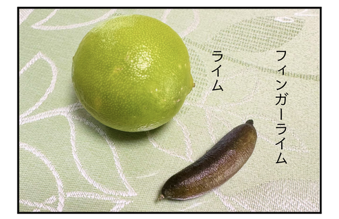 F231014A02