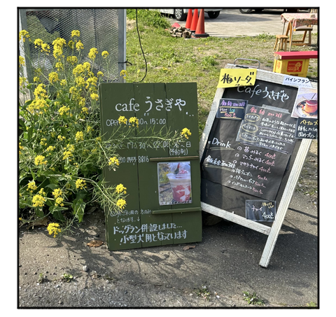A230402A01