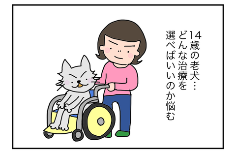 B220325A01