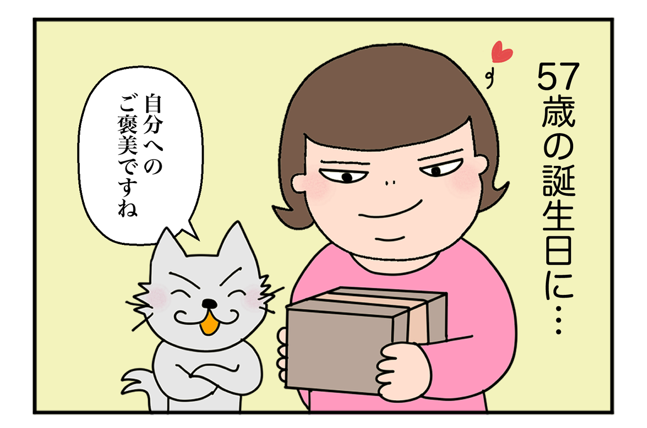 誕生日に「ビバヒル全巻BOX」買っちゃった♪【アラカン】沼ふたたび