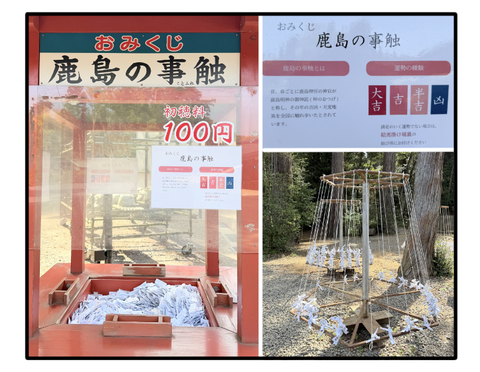 D260516A01
