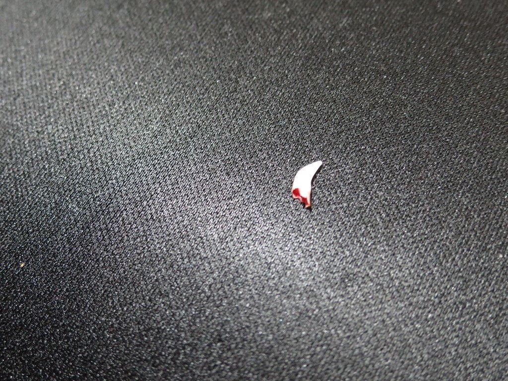 イメージ 5