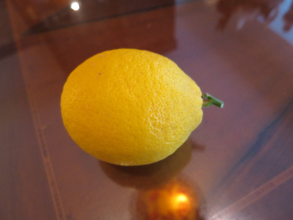 イメージ 18