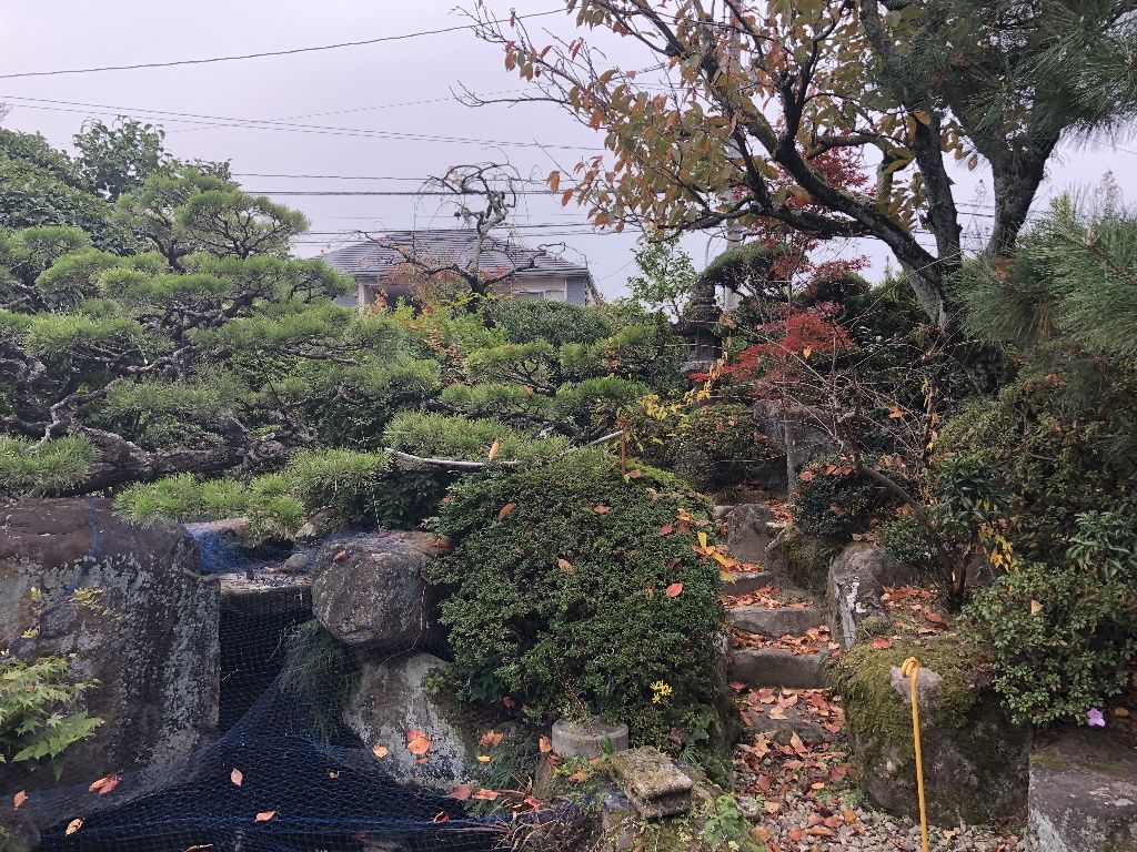 イメージ 25