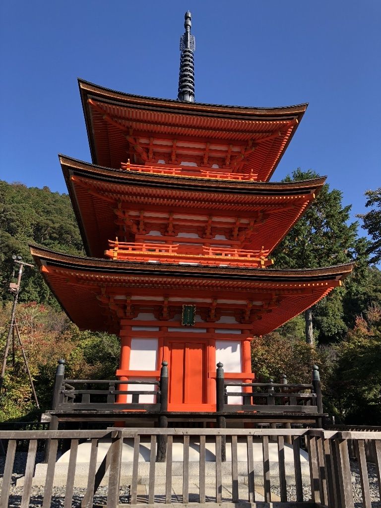 イメージ 11