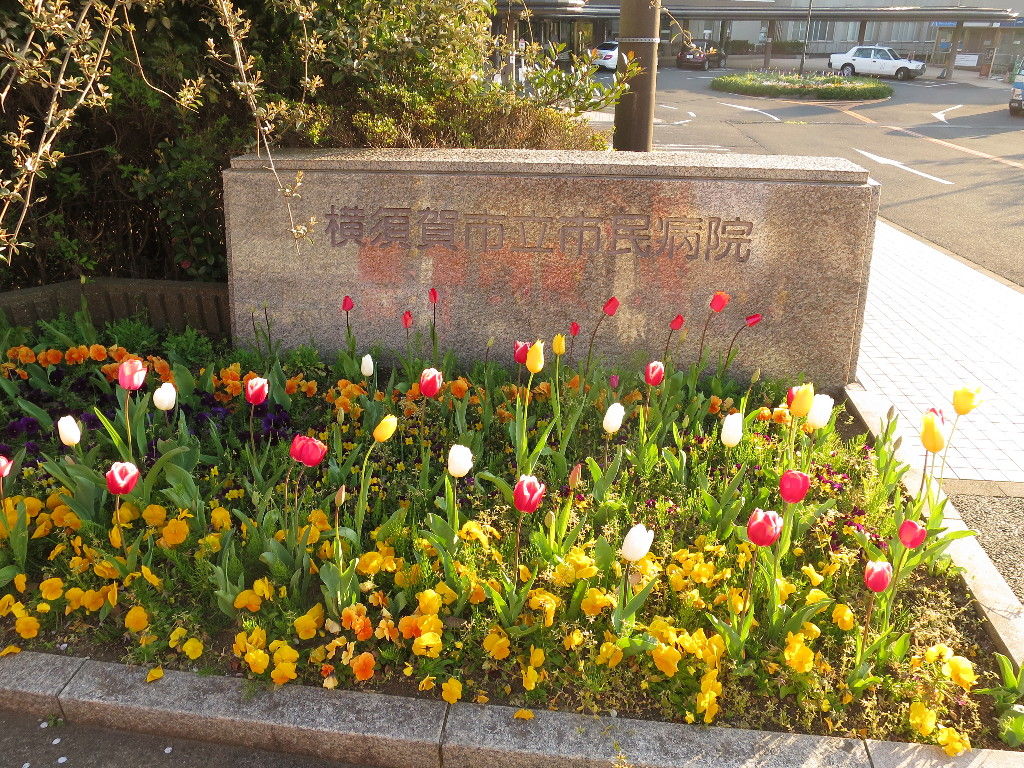 イメージ 7
