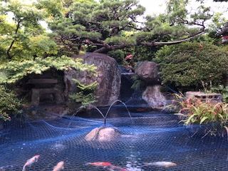イメージ 6