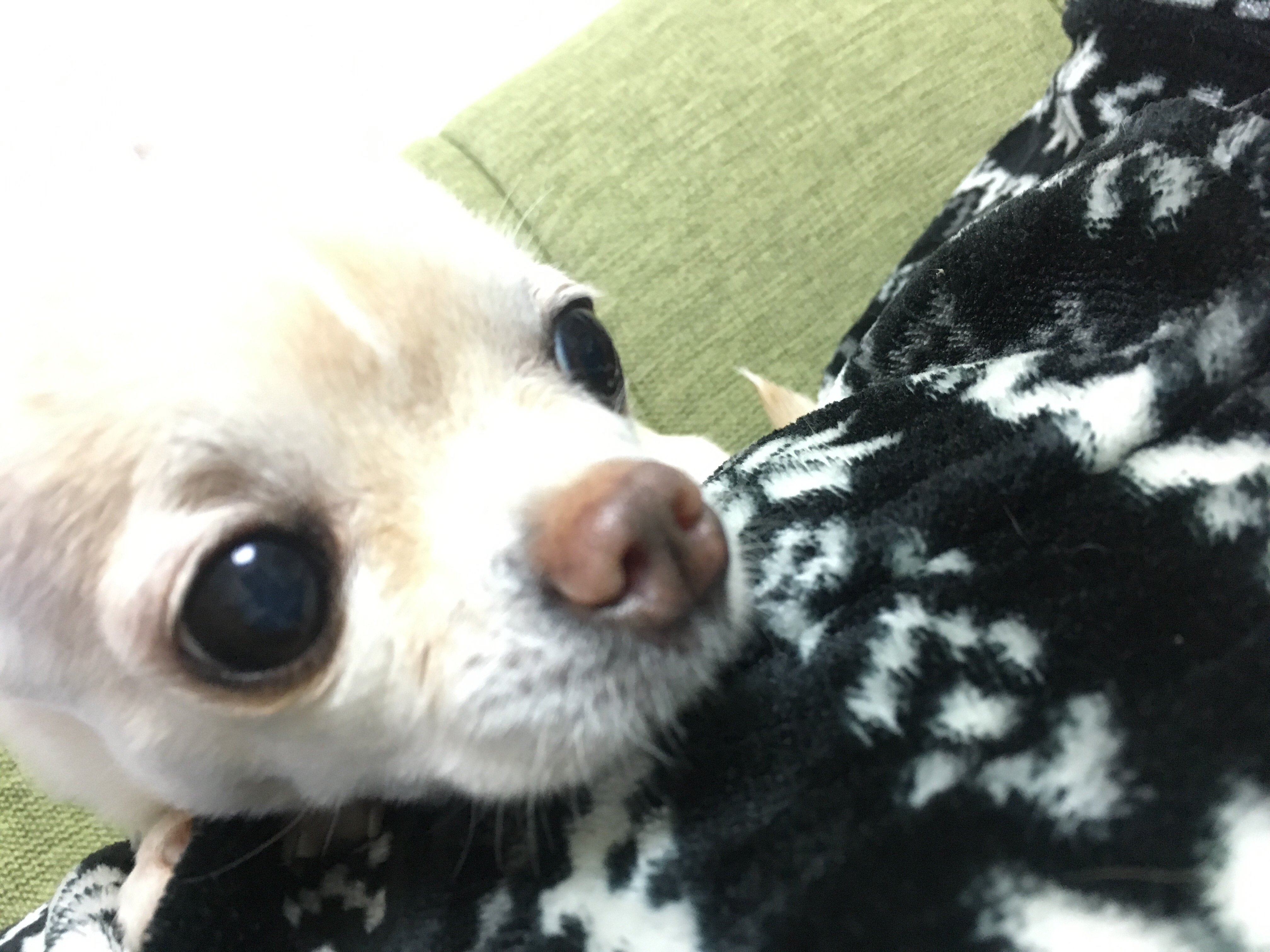クセ Bar A S Kのブログ クセ Bar A S Kのブログ