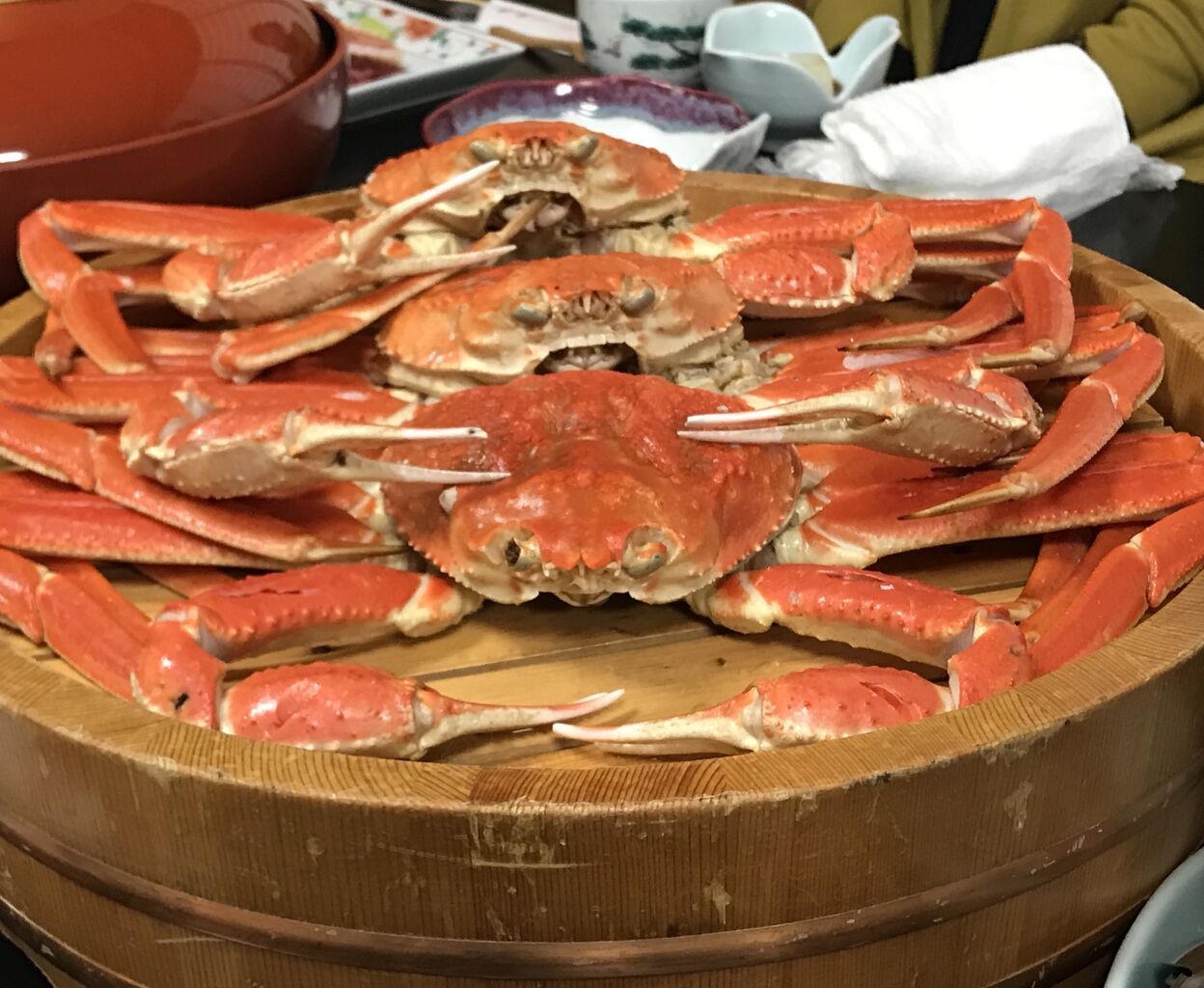 豪快 夕日ヶ浦温泉で食すカニ三昧 に行って来たっす おいらの言いたい放題