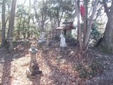 臼杵山頂上