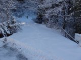 権現山 登山道入り口