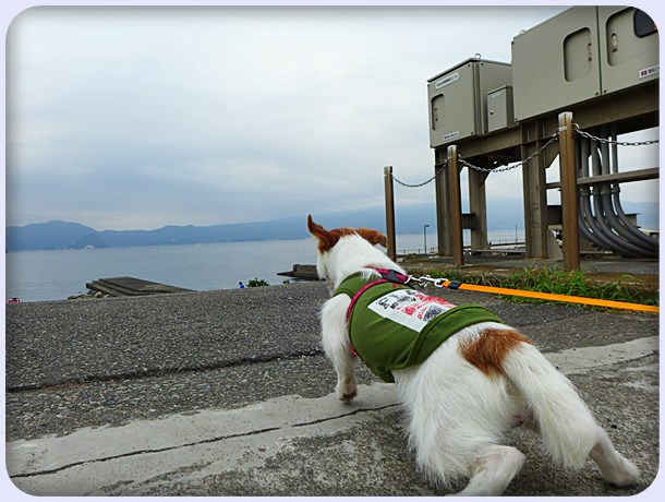 沼津 ある夕方の島郷海岸 写真日記 沼津 ある夕方の島郷海岸 写真日記