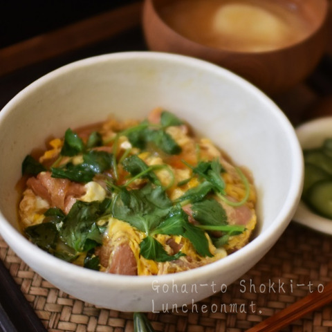 SjPyjB44T0RPvkt1721383544_1721383616