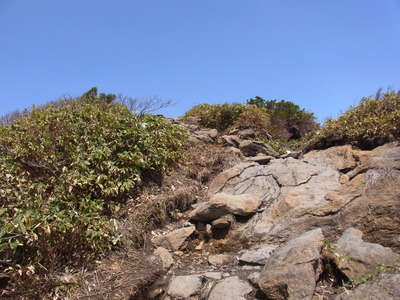RIMG0374