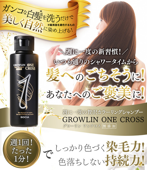 白髪頑固な