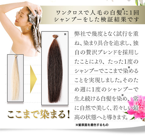 ワンクリス