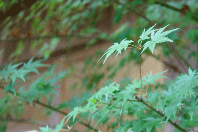 20190806