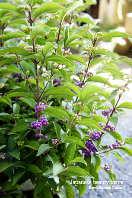 2012092602