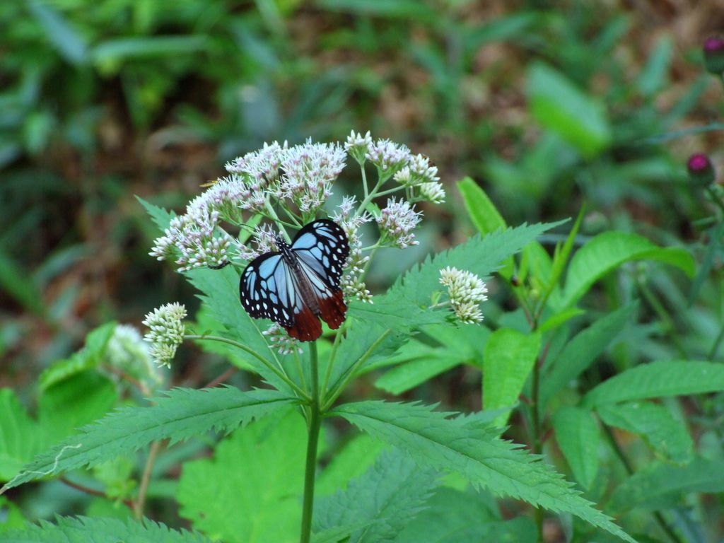 2014_0725_225949-DSCF4968