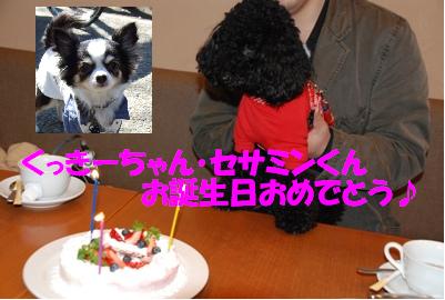 お台場オフ11