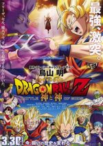 DRAGON BALL Z 神と神
