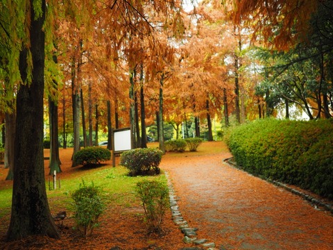桃山公園 (11) (1024x768)