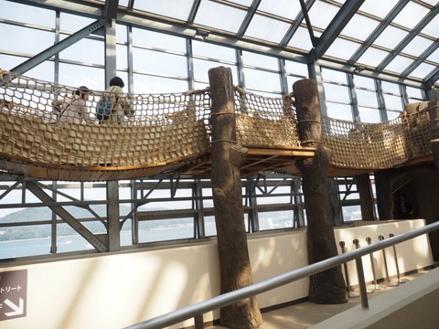 鳥羽水族園 (88) (1024x768)