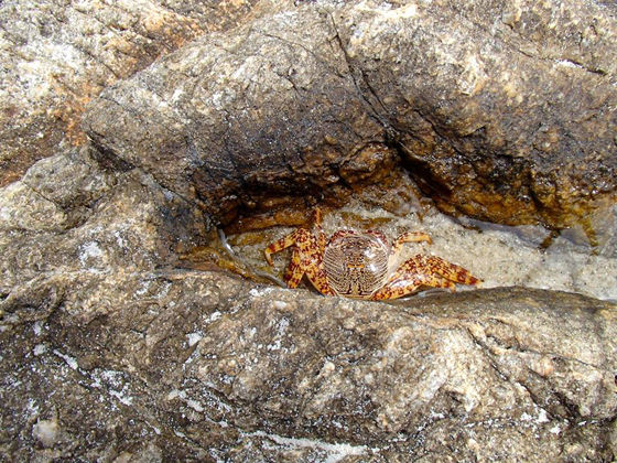 1075096_427031817410968_47612005_n