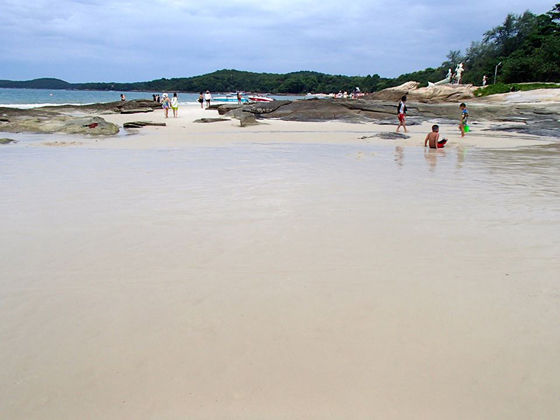 1081085_427031794077637_2083352818_n