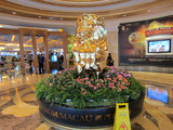 MGM