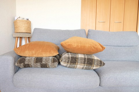 [画像:60c211d9-s.jpg]