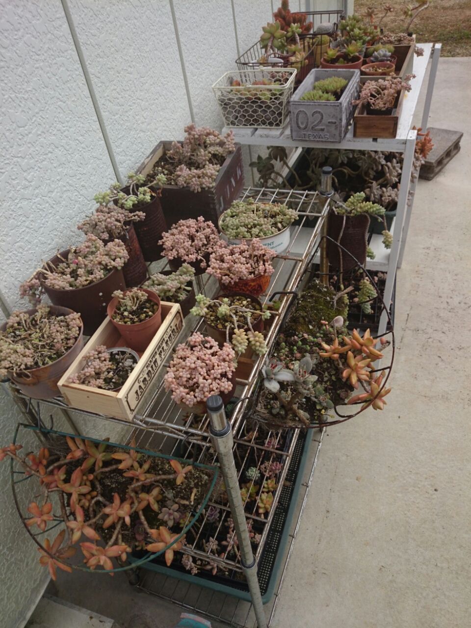 簡単diyで賃貸でもベランダガーデニング Base Of The Life 暮らしの拠点 Powered By ライブドアブログ 簡単diyで賃貸でもベランダガーデニング Base Of The Life 暮らしの拠点 Powered By ライブドアブログ