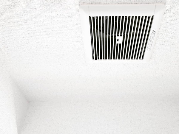 IMG_20190422_161859_199