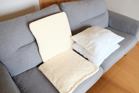 [画像:f9f3a0c9-s.jpg]