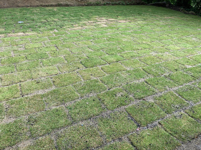 芝生の庭を目指して 土作りと整地 そして芝設置 素人田舎暮らし Base2jo 芝生の庭を目指して 土作りと整地 そして芝設置 素人田舎暮らし Base2jo