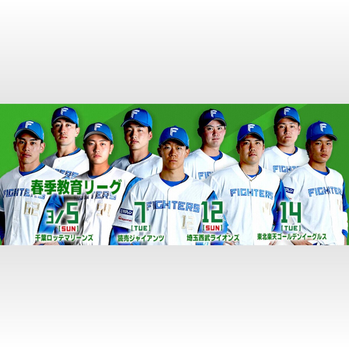 活動歴および当時の関連ビジュアル記録
