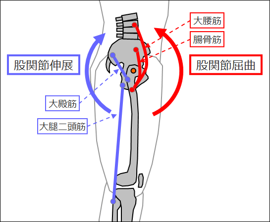 ピッチング動作の習得 改善方法 リフトアップの足上げと体勢づくり 野球動作分析強化指導サイト ヤキュウモーション