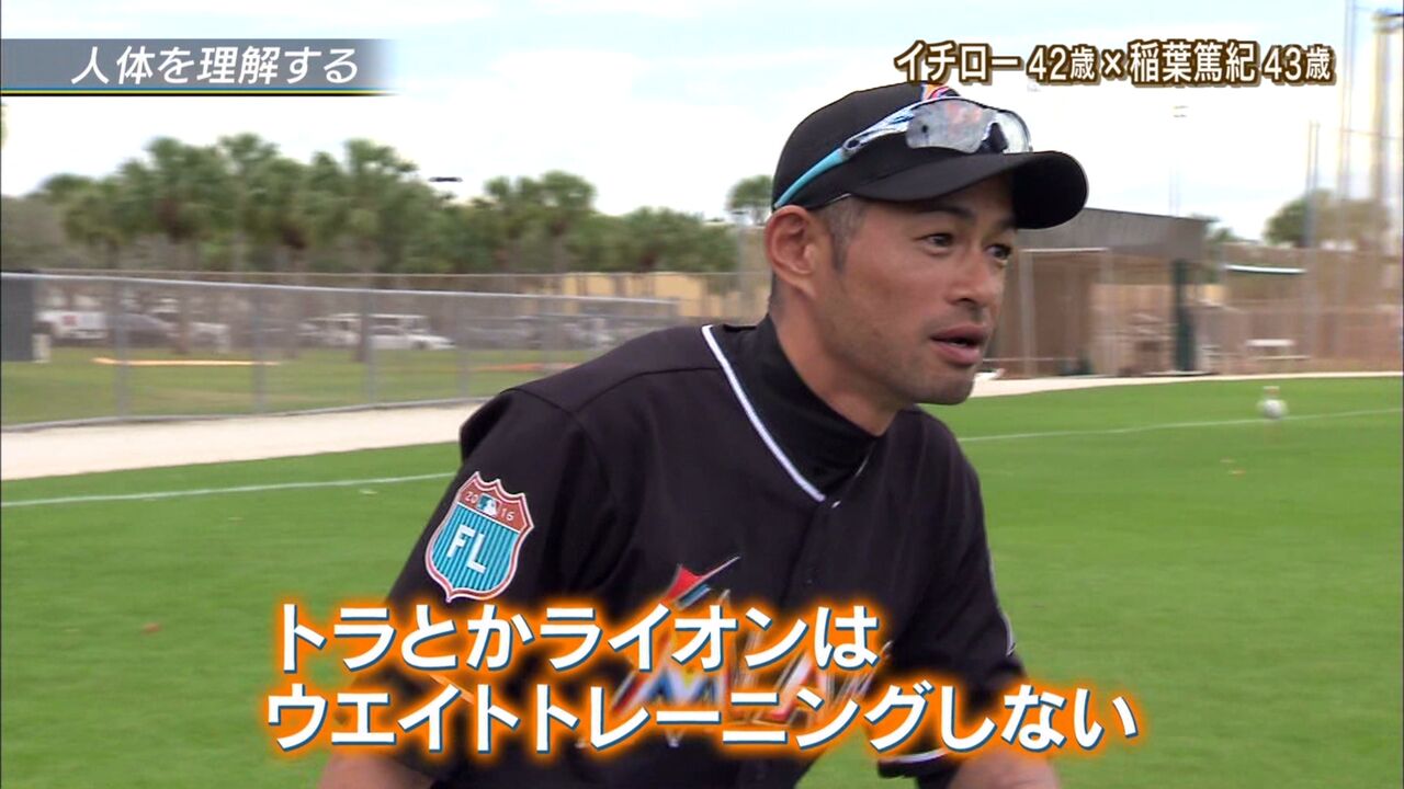 イチロー トラやライオンはウェイトトレーニングしない Baseballlog