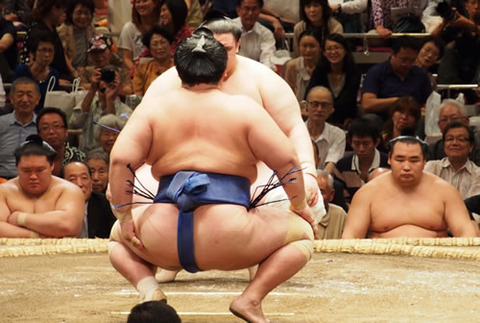 sumo06